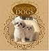 Town & Country Dogs