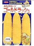 ゴールドラッシュ  　サカタのイエロートウモロコシ種です