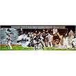 2005 Chicago White Sox Team Autographed 12x36 Panoramic Photograph
