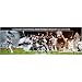 2005 Chicago White Sox Team Autographed 12x36 Panoramic Photograph