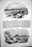 1847 Relief Ireland Ship Wreck Steam Packet Sirius