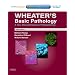 Wheater's Basic Pathology: A Text, Atlas and Review of Histopathology: With STUDENT CONSULT Online Access (Basic Histopathology (Wheater's/ Burkitt))
