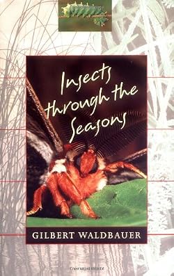 Insects through the Seasons