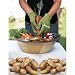 Danesco Legume Scrubbing Gloves Set of 2 - Green