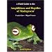 A Fieldguide to the Amphibians and Reptiles of Madagascar