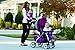 Evenflo JourneyLite Travel System with Embrace, Marianna