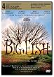 Big Fish Bilingual
