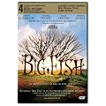Big Fish Bilingual