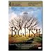 Big Fish Bilingual