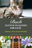 Bach Flower Remedies for Cats