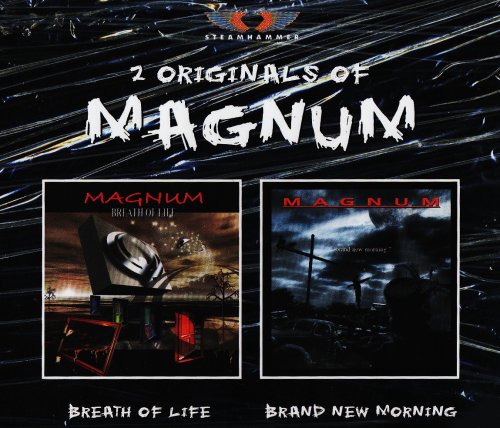 Magnum - The Last Goodbye Lyrics - Zortam Music