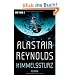 Himmelssturz: Roman