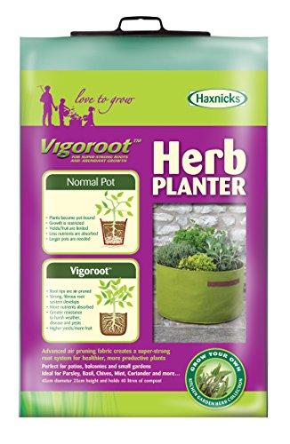 Tierra Garden 50-VIG14 Haxnicks Vigoroot Herb Planter