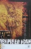 DESPISED ICON - The Healing Process - Poster