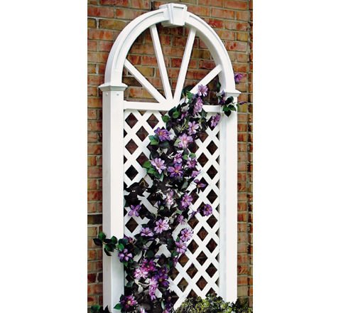Nantucket Trellis