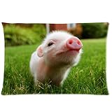 Personalized Little Lovely Cute Baby Pig Cover for Roomy Zippered Pillowcase 30x20-Inches (One Side)