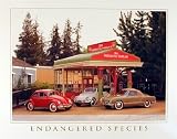 "Endangered Species" VW Classics 16 x 20 Transportation Art Print Posters