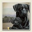 AbsorbaStone Coaster set~ Two Black Labs I ~4 Tile Drink Coasters ~ code 875C