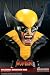 Marvel - Lifesize Bust: Wolverine (Berserker Rage)_s-3