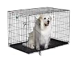 Midwest iCrate Double-Door Folding Metal Dog Crate, 48 Inches by 30 Inches by 33 Inches
