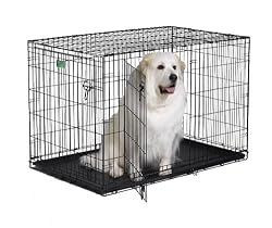 Midwest iCrate Double-Door Folding Metal Dog Crate, 48 Inches by 30 Inches by 33 Inches
