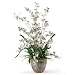 White Dancing Lady Silk Orchid Arrangement