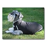 Pawtech Soft Shell All Season Dog Jacket