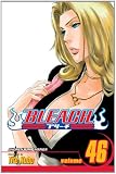Bleach, Vol. 46 (Bleach (Graphic Novels))