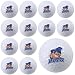 Valley Golf
NCAA Grand Valley State Lakers Dozen Pack Golf Balls