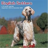 English Setters 2009 Wall Calendar