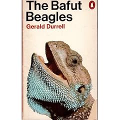 The Bafut Beagles