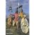 Le guerrier gaulois : Du Hallstatt � la conqu�te romaine