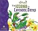 Search : The Iguana in Lavender Socks (Noodlebug)