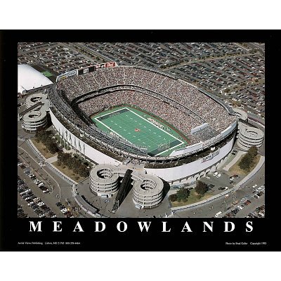 Professionally Framed Brad Geller New York Jets Old Meadowlands Stadium Sports Poster Print - 22x28 with RichAndFramous Black Wood Frame