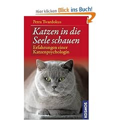 Katzen in die Seele schauen: Erfahrungen einer Katzenpsychologin