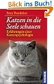 Katzen in die Seele schauen: Erfahrungen einer Katzenpsychologin