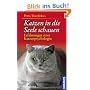 Katzen in die Seele schauen: Erfahrungen einer Katzenpsychologin