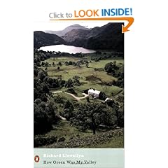 How Green Was My Valley (Penguin Modern Classics)