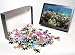 Photo Jigsaw Puzzle of Coral, Agincourt from Danita Delimont