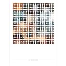 Diamond Dogs by Simon Cryer (Giclée print)||EVAEX