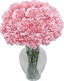 Pink Carnation 20 stems with Hourglass Vase