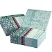 Mudlark Holiday Boxed Cards, Festive Stripes, 25-count
