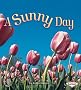 First Step Weather: A Sunny Day (First Step Non-fiction - Weather)