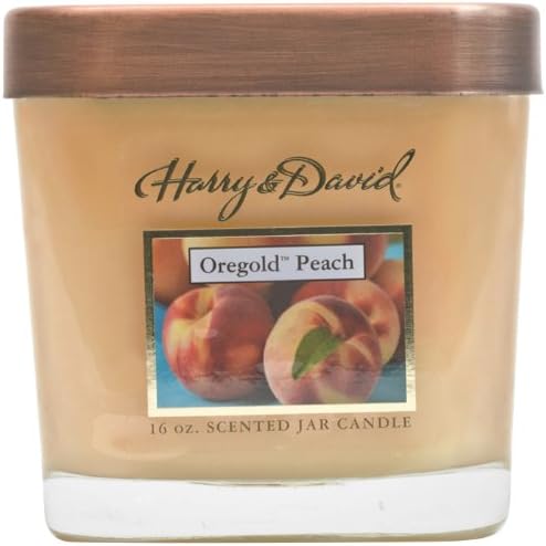 Harry and David 16-Ounce Jar Candle, Large, Oregold Peach
