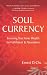Soul Currency: Investing Your Inner Wealth for Fulfillment & Abundance