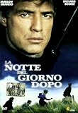 La Notte del Giorno Dopo