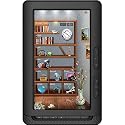 Ematic 4GB eBook Reader, 7 inch Full Color Display, 800 x 480 Resolution HD Video Playback, Built-in FM Radio and Voice Recorder, Black