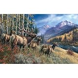 Elk Anthem, 1000 Piece