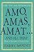 Amo, Amas, Amat... and All That