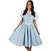 Adult Dorothy Wizard of Oz Dress Costume